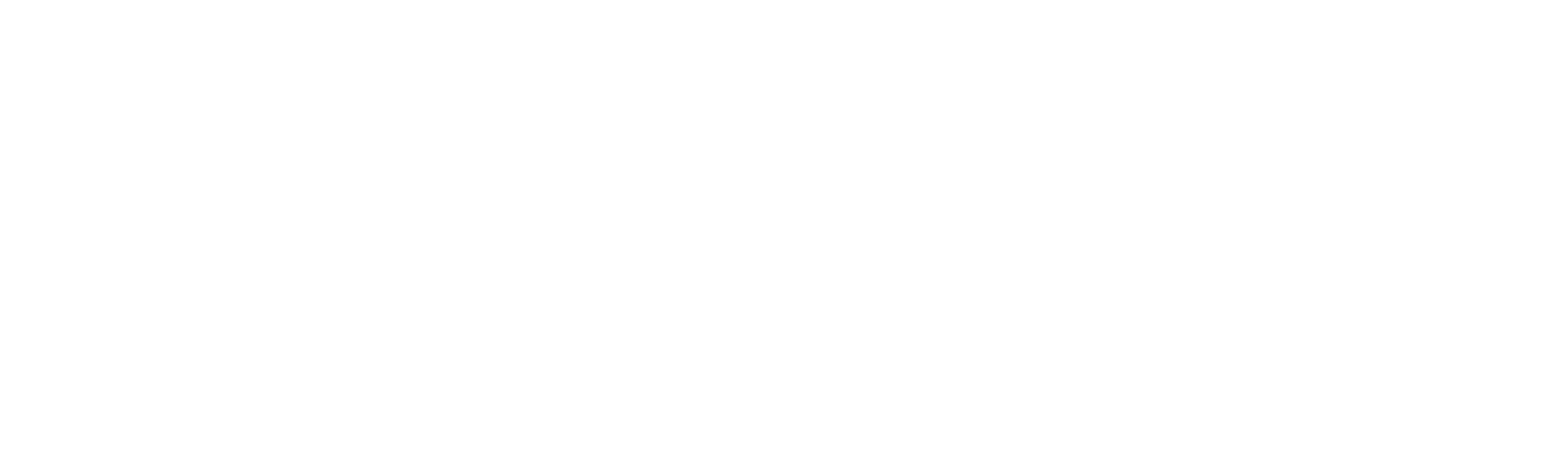 Stripe Partners
